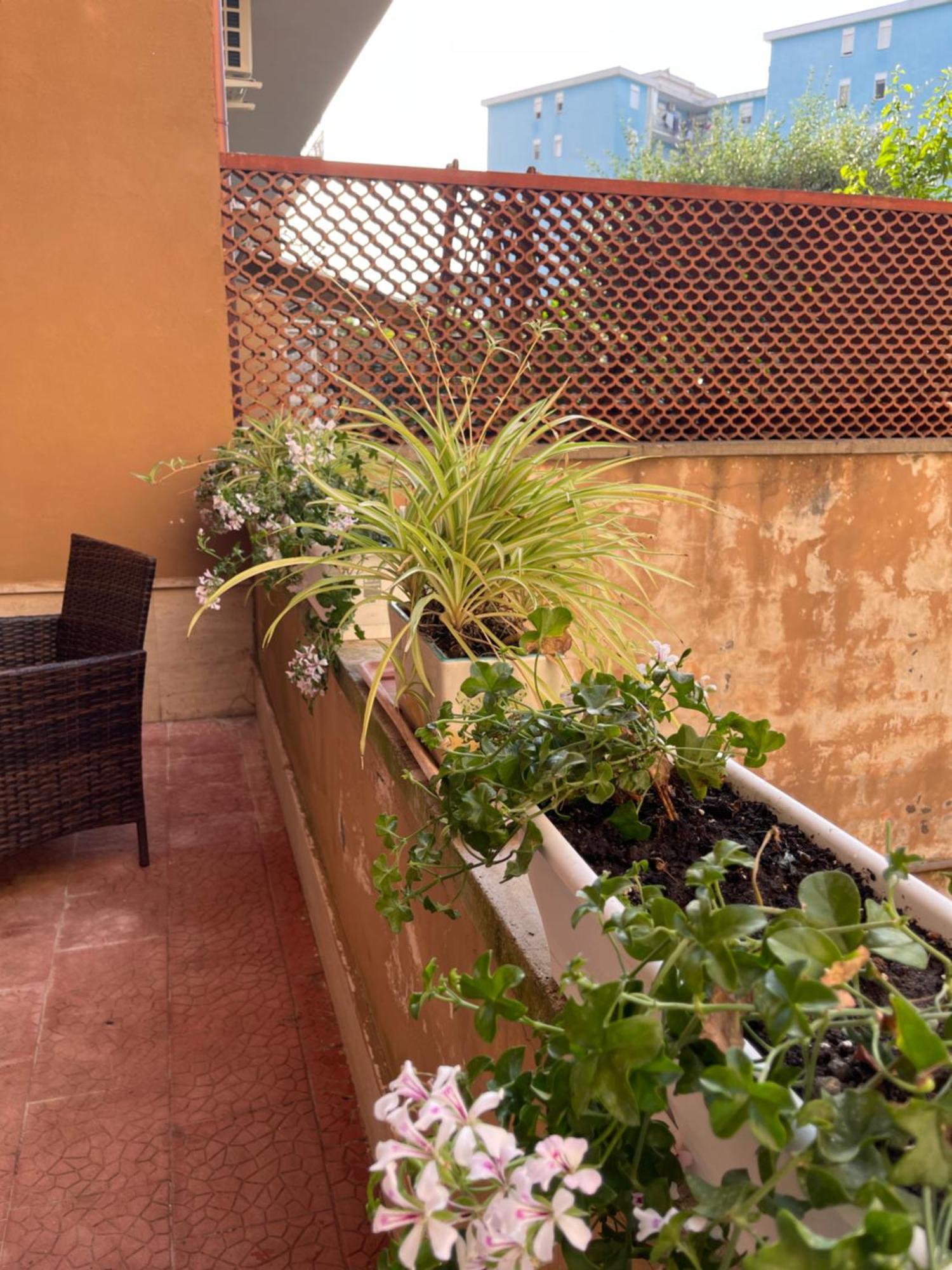 Oleander Apartment Castellammare di Stabia Εξωτερικό φωτογραφία